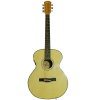 Електро акустична китара AF48HCE WINZZ - страхотна цена!