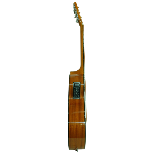Електро акустична китара AF48HCE WINZZ - страхотна цена!